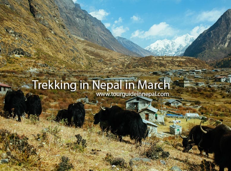 Trekking in Nepal in March Trekking in Nepal in March