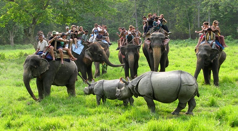 Chitwan National Park in Nepal