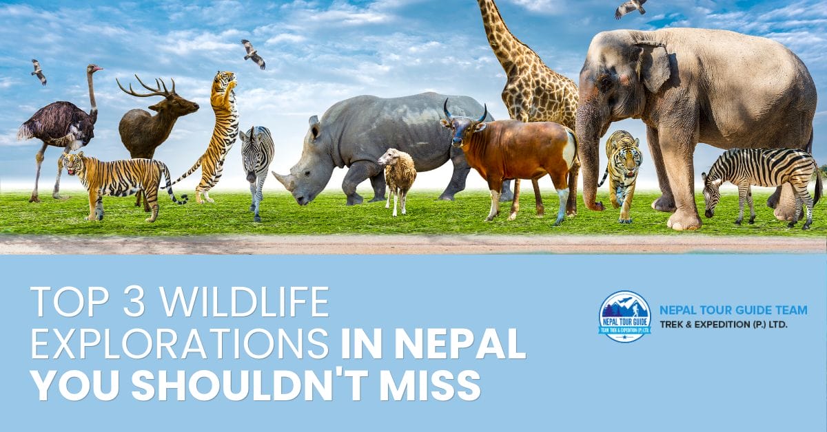 Top 3 Wildlife Explorations In Nepal You Shouldn’t Miss