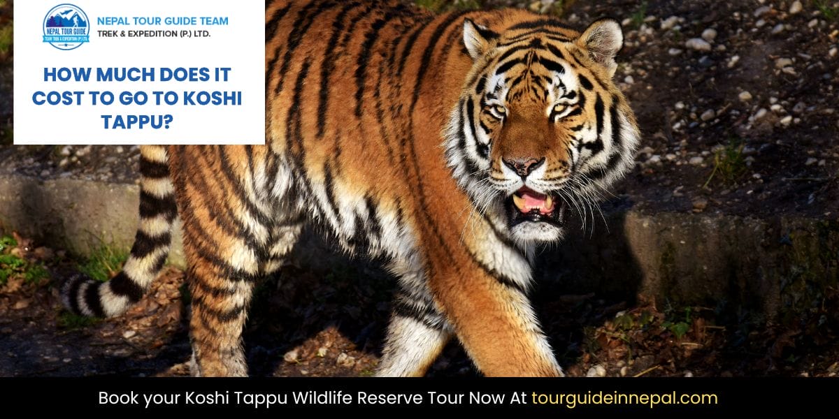 Koshi Tappu Wildlife Reserve Tour