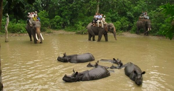 nepal Wildlife