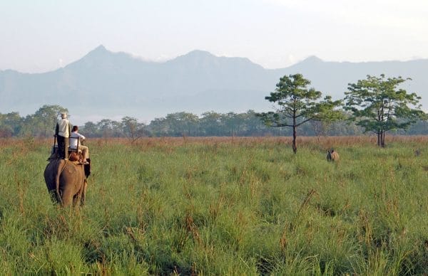 Chitwan National Park