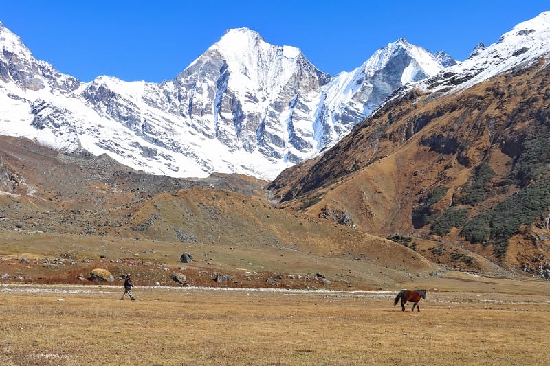 Darchula Api Base Camp Trek