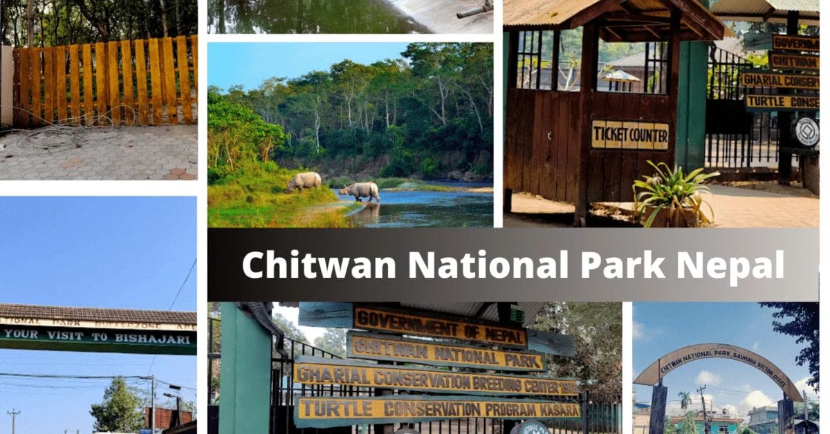 Things to Do in Chitwan National Park Things to Do in Chitwan National Park