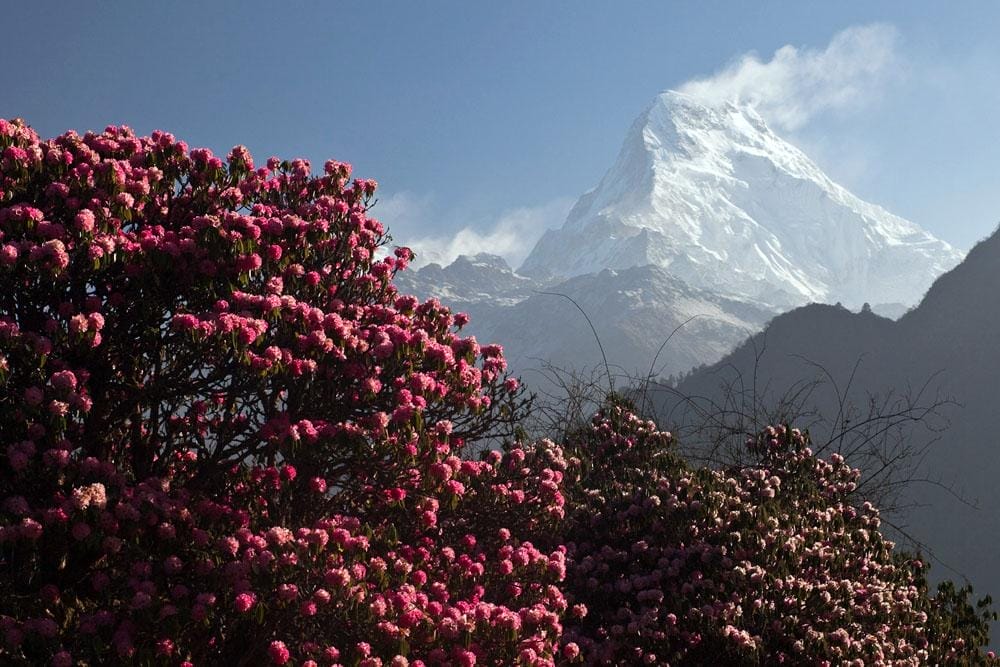 Plan your Annapurna Circuit Trek 2025: Ultimate Guide & Itinerary Plan your Annapurna Circuit Trek 2025: Ultimate Guide & Itinerary