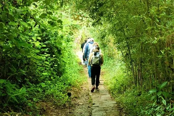 Why trekking is important